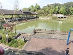 -铁山坪森林公园