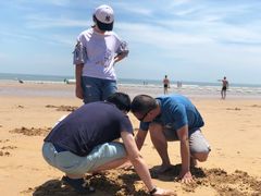 -日照海滨国家森林公园
