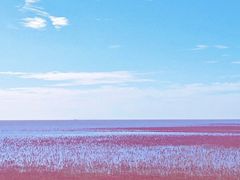 -红海滩国家风景廊道