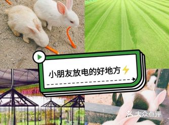 春暖花开的季节，还不带你的小朋友出去玩