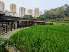 -龙头寺公园