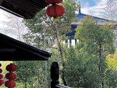 -大唐贡茶院