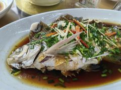 -芦茨金富饭庄·25年老字号·专做稻草鸡