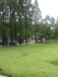 -糖果baby儿童摄影定制馆(外景店)