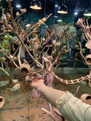 -Zoolung Zoolung动物主题公园(海信广场店)