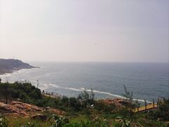-广东惠东海龟国家级自然保护区