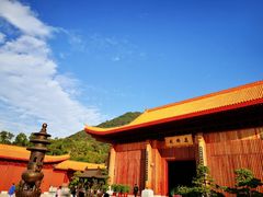 -深圳仙湖植物园-停车场