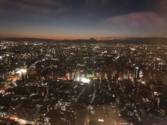 -东京都厅舍