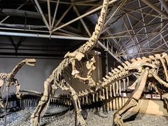 -世界恐龙谷景区