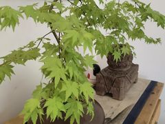 -往来·竹里.宝宝宴.生日宴.团建.宴席(花乡农居店)