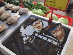 -蚝专家(北滘店)