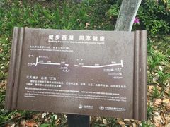 -苏堤停车场