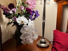 -循礼门鲜花花市(武汉循礼门店)