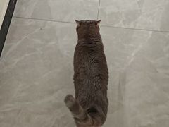 -心仪动物医院·牙专科·肿瘤·心脏科(西客站院)