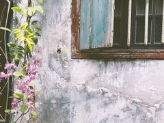 -三溪村