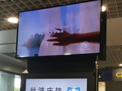 -上海浦东国际机场-T2航站楼