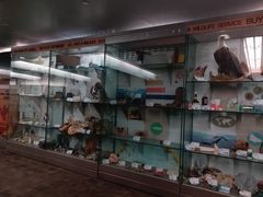 -纽瓦克自由国际机场