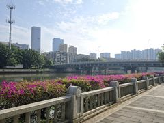 -光明港公园