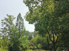 -合肥三国新城遗址公园