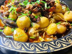 -一只烧鸡公(解放碑店)