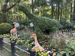 -上海共青森林公园