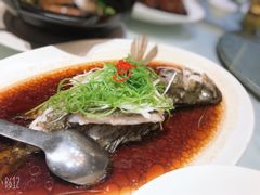 清蒸鳜鱼-上海会馆(香港名都店)