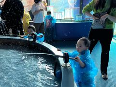 -中国宋庆龄青少年科技文化交流中心