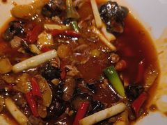 -院8里·小聚园老川菜(九眼桥店)