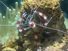 -太平洋海底世界