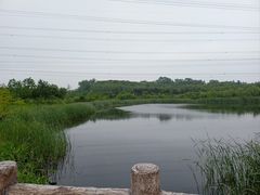 -昆山城市生态森林公园