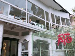 -有猫主题·治愈系猫咖(曾厝垵店)