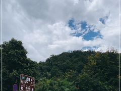 -野象谷景区