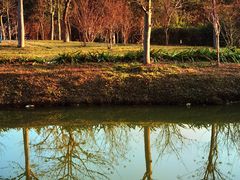 -森波拉奇妙世界