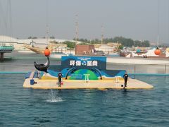 -秦皇岛乐岛海洋王国