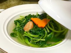 上汤苋菜-金成潮菜博物馆(海珠湿地店)