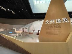 -长江文明馆