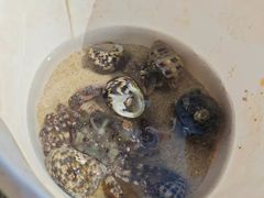 -六鳌翡翠湾滨海度假景区