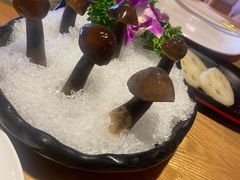 -尚海豆捞(乐虹坊店)