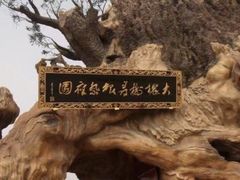 -大槐树寻根祭祖园