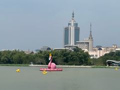 -莲花池公园