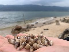 -阳宗海湿地