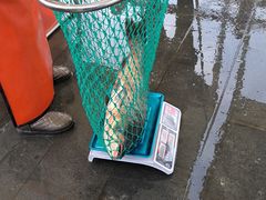 -南京金牛湖风景区