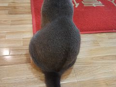 -壹人壹像工作室(购物公园店)