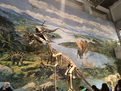 -自贡恐龙博物馆