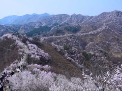-龙泉峪长城