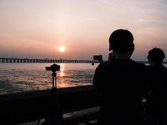 -宝安西湾红树林湿地公园