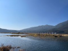 -腾冲北海湿地