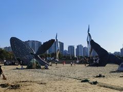 -烟台金沙滩海滨公园