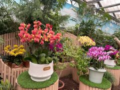 -郑州中国绿化博览园