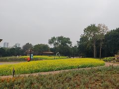 -雀儿山公园